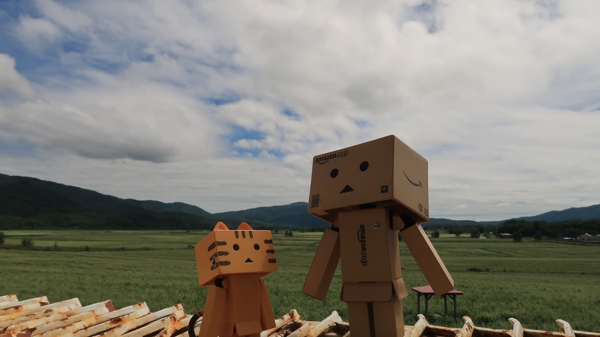 f:id:shirokumapanda:20200201012635j:plain