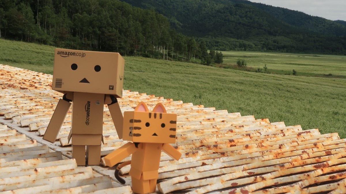 f:id:shirokumapanda:20200201012641j:plain