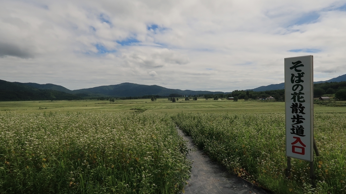 f:id:shirokumapanda:20200201012649j:plain