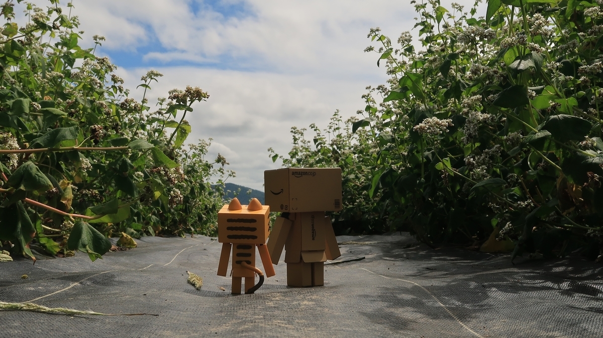 f:id:shirokumapanda:20200201012654j:plain