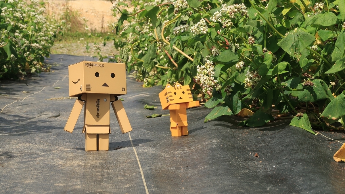 f:id:shirokumapanda:20200201012701j:plain