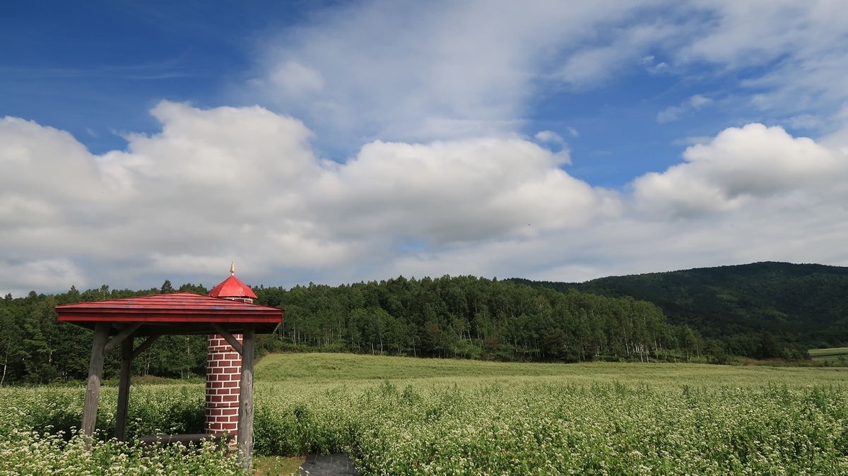 f:id:shirokumapanda:20200201012708j:plain