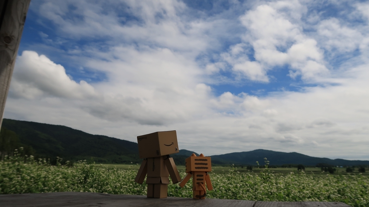 f:id:shirokumapanda:20200201012715j:plain