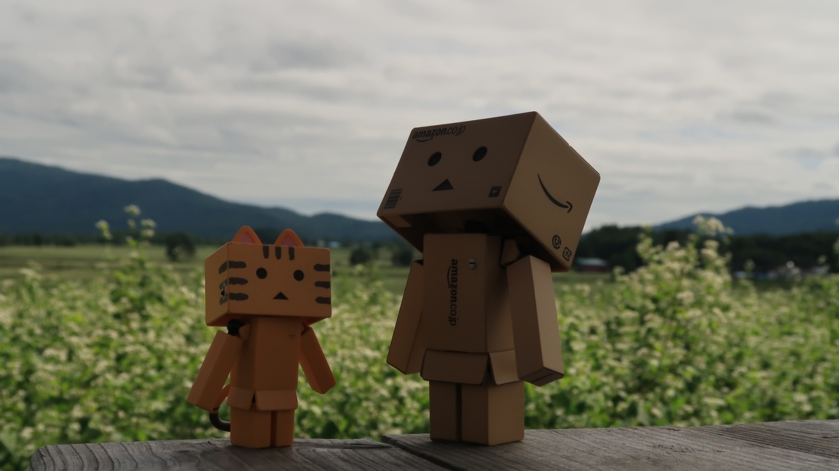 f:id:shirokumapanda:20200201012739j:plain