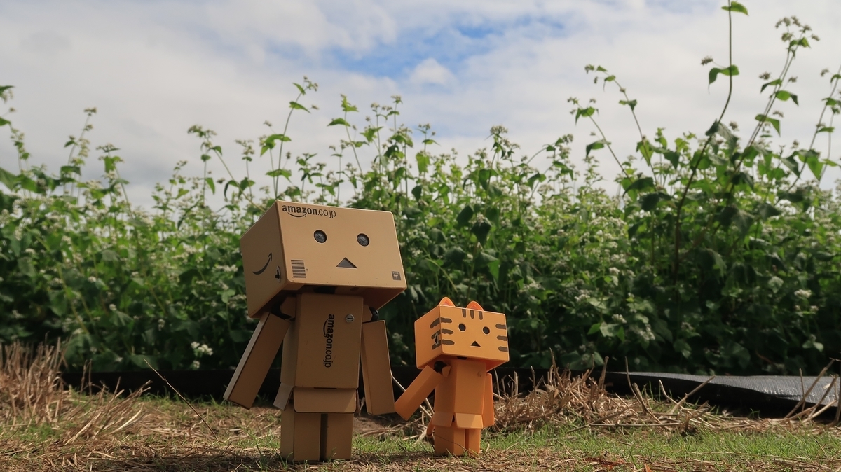 f:id:shirokumapanda:20200201012746j:plain