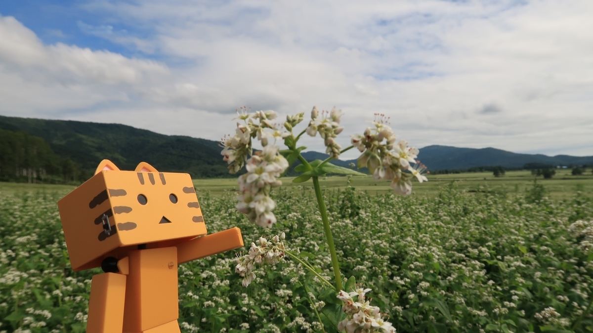 f:id:shirokumapanda:20200201012754j:plain