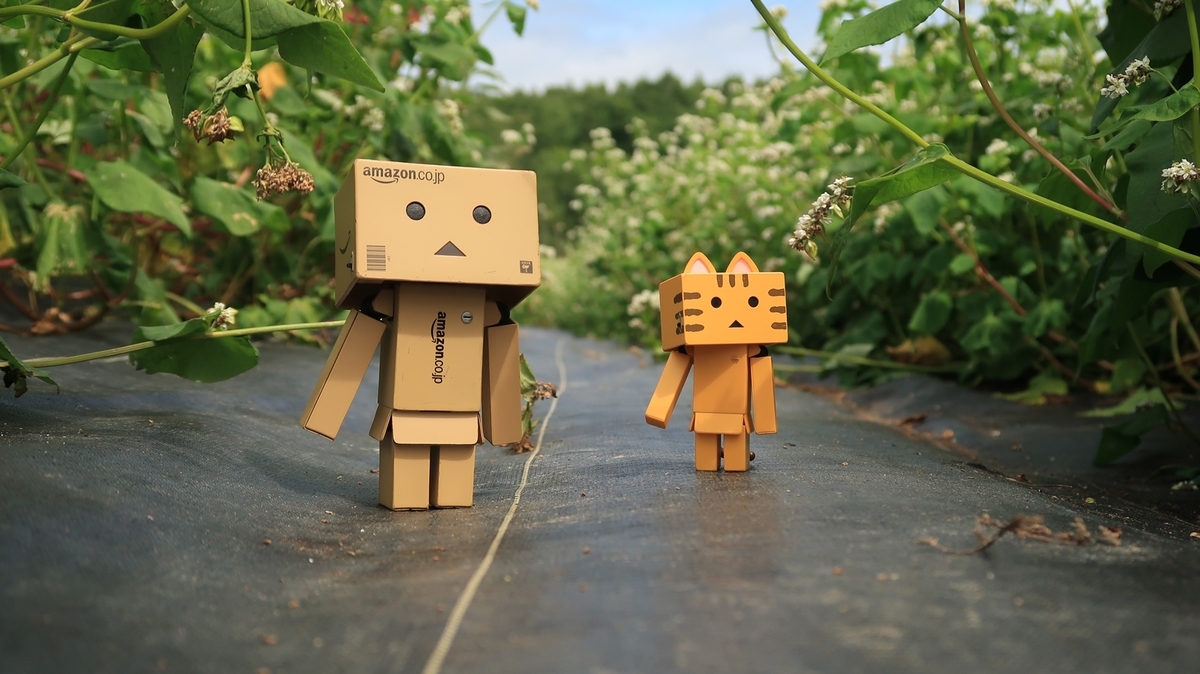 f:id:shirokumapanda:20200201012830j:plain