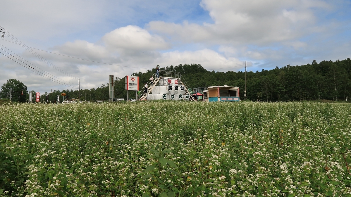 f:id:shirokumapanda:20200201012851j:plain