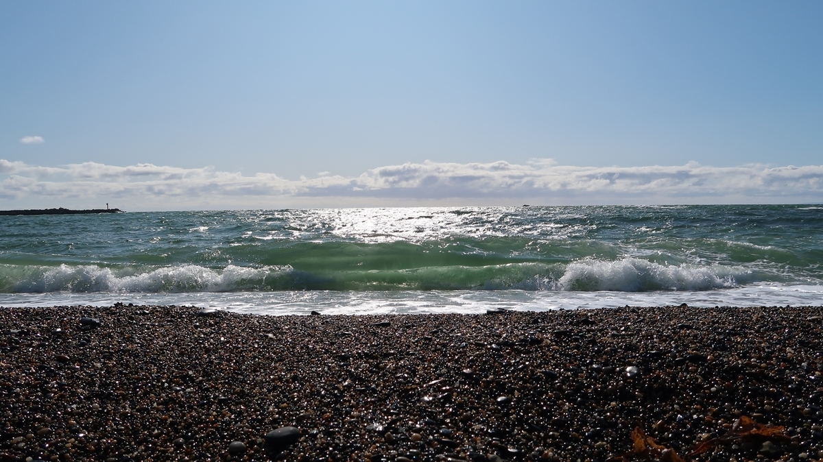 f:id:shirokumapanda:20200222130645j:plain