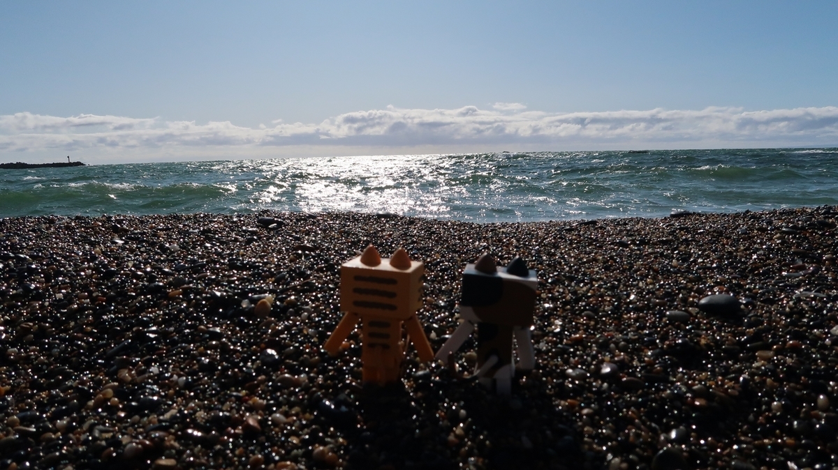 f:id:shirokumapanda:20200222130650j:plain