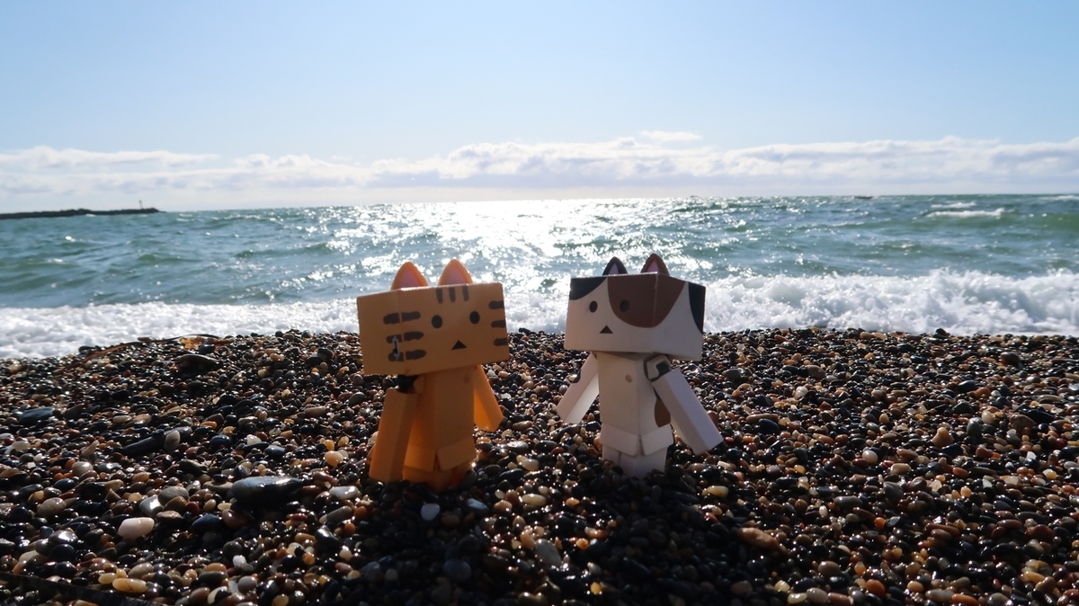 f:id:shirokumapanda:20200222130657j:plain