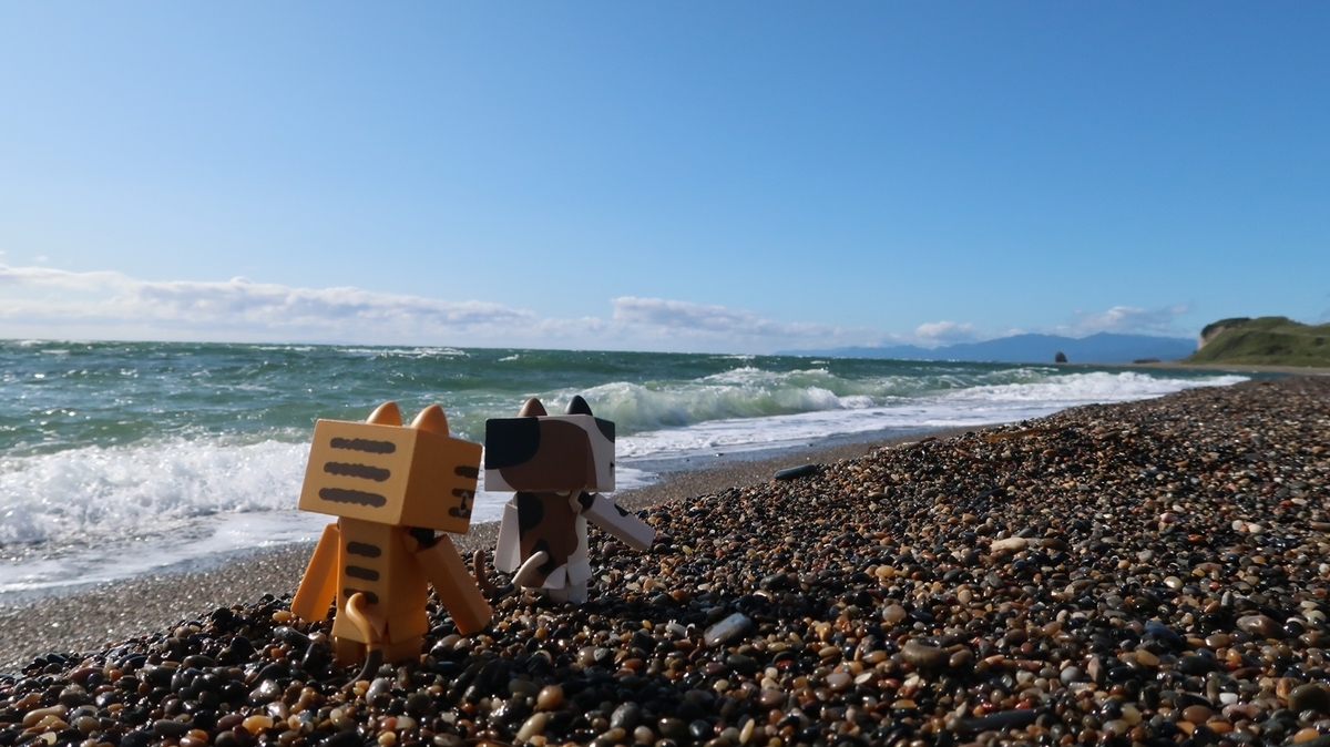 f:id:shirokumapanda:20200222130710j:plain