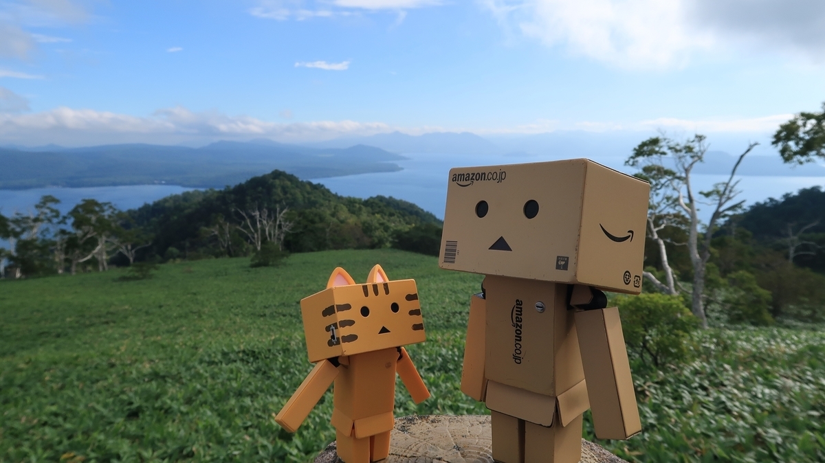 f:id:shirokumapanda:20200228005512j:plain