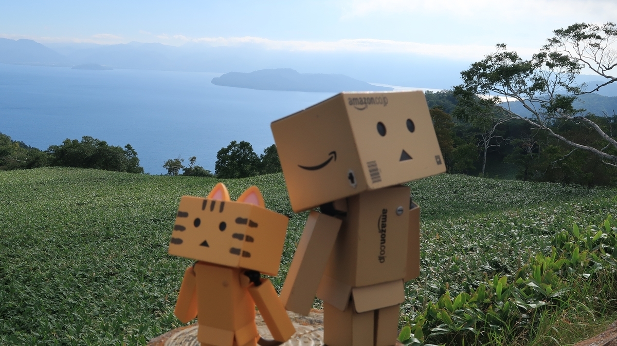 f:id:shirokumapanda:20200228005530j:plain