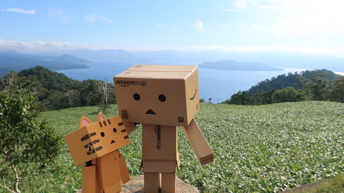 f:id:shirokumapanda:20200228005536j:plain
