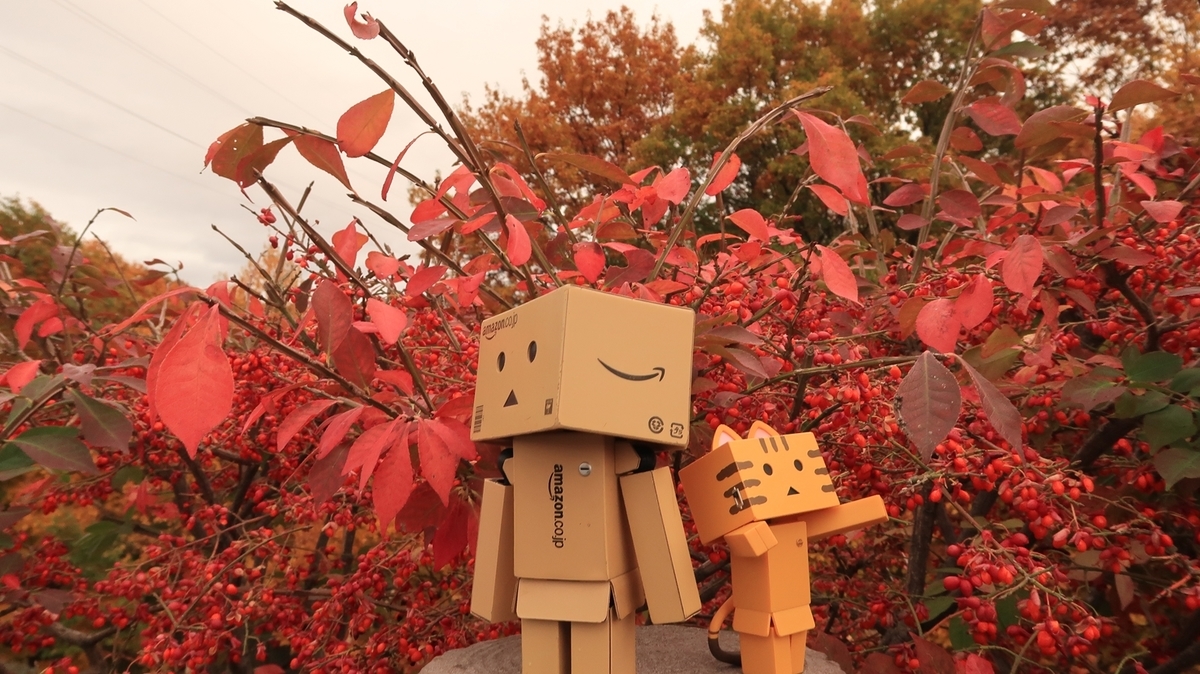 f:id:shirokumapanda:20200302025502j:plain