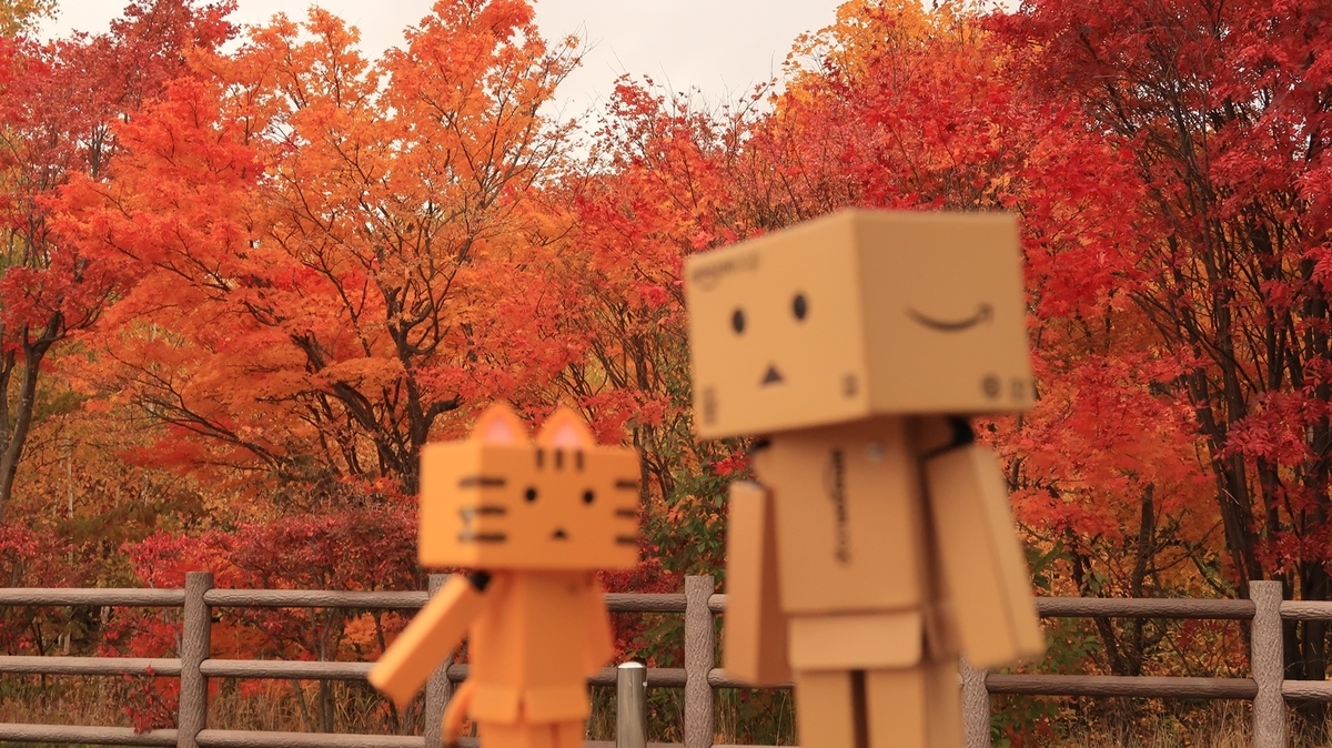 f:id:shirokumapanda:20200302025509j:plain