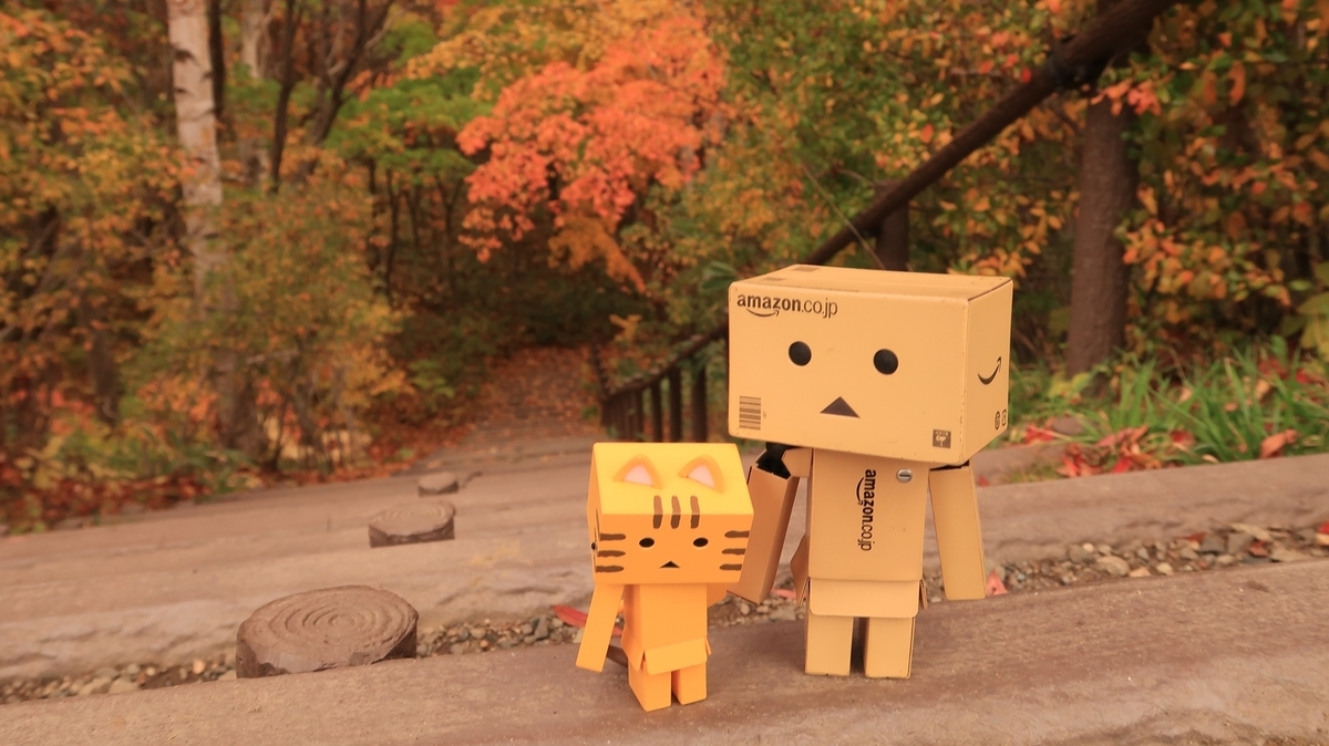 f:id:shirokumapanda:20200302025521j:plain