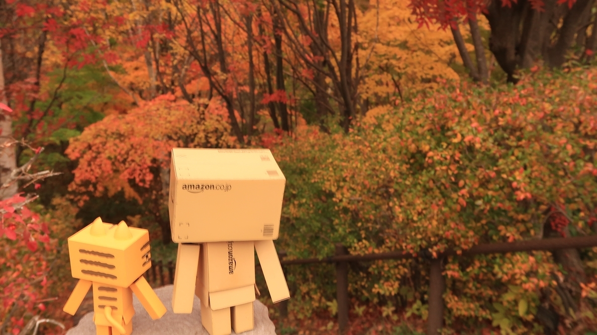f:id:shirokumapanda:20200302025526j:plain