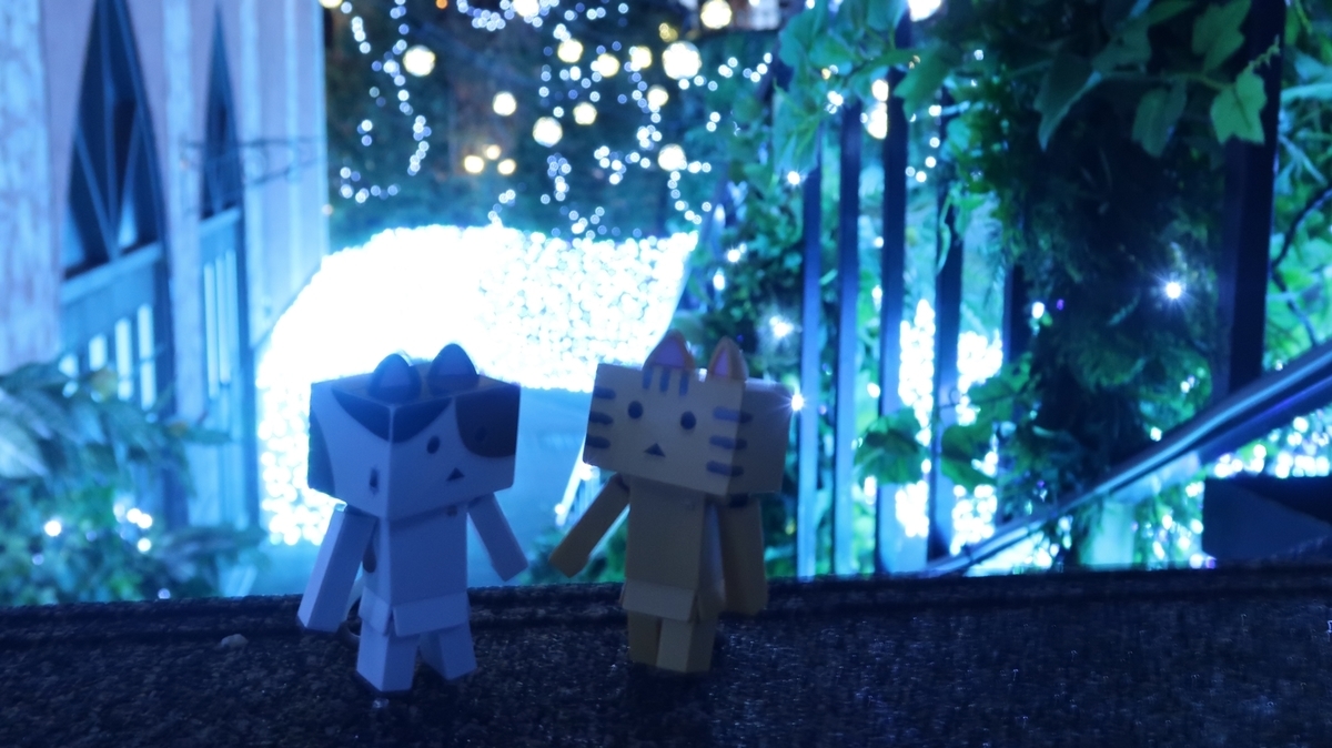 f:id:shirokumapanda:20200315212418j:plain