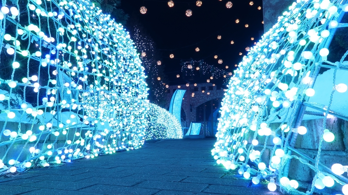 f:id:shirokumapanda:20200315212653j:plain