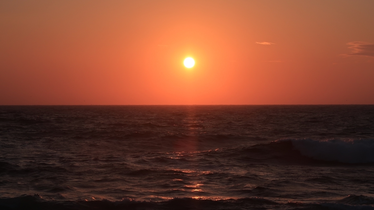 f:id:shirokumapanda:20200319030615j:plain