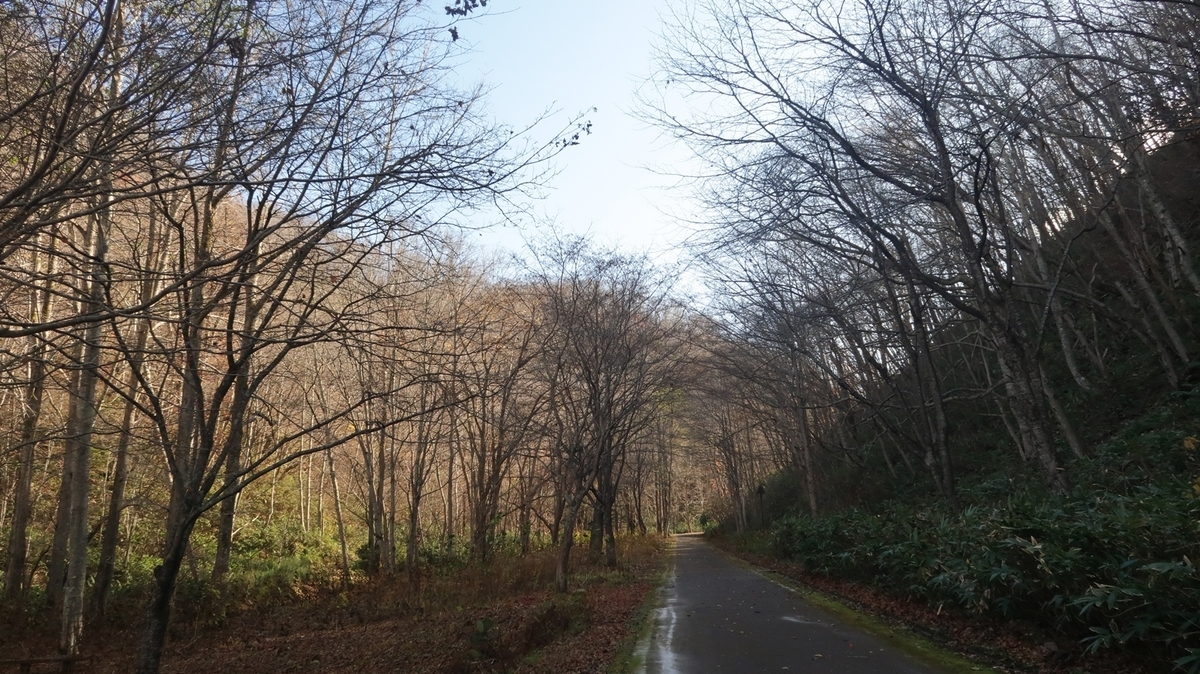 f:id:shirokumapanda:20200321015251j:plain