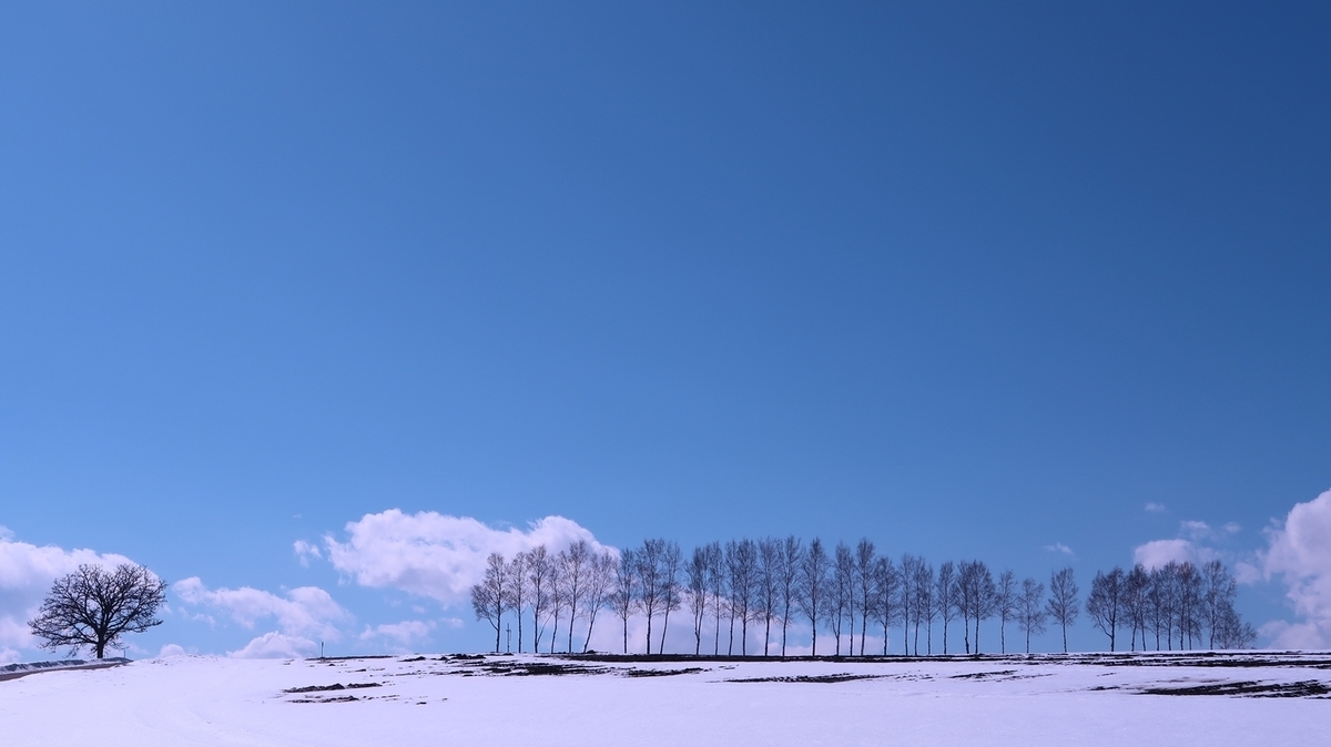 f:id:shirokumapanda:20200322151837j:plain