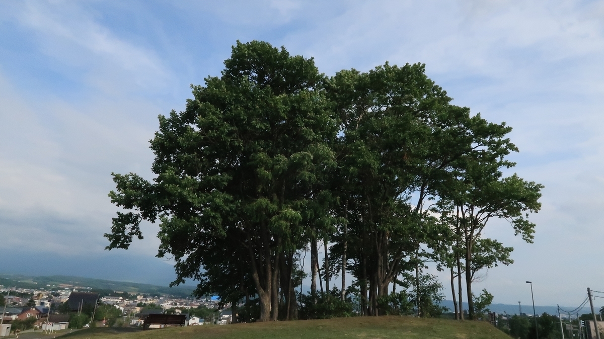 f:id:shirokumapanda:20200323234654j:plain f:id:shirokumapanda:20200323234654j:plain