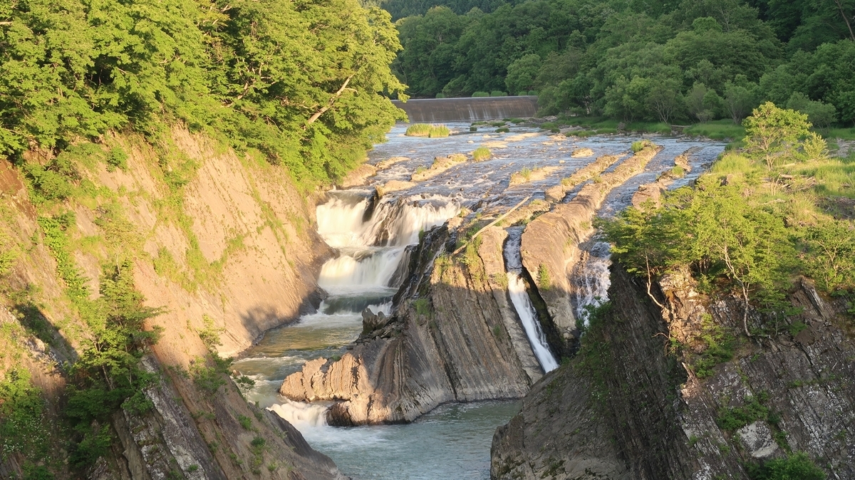 f:id:shirokumapanda:20200329223908j:plain f:id:shirokumapanda:20200329223908j:plain