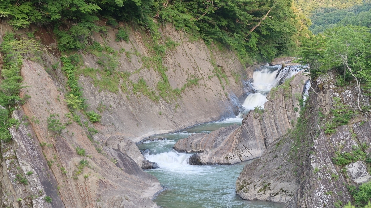 f:id:shirokumapanda:20200329224013j:plain f:id:shirokumapanda:20200329224013j:plain