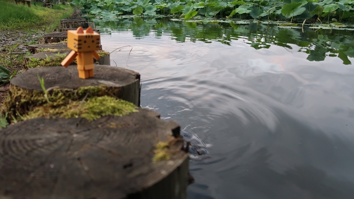 f:id:shirokumapanda:20200413003607j:plain