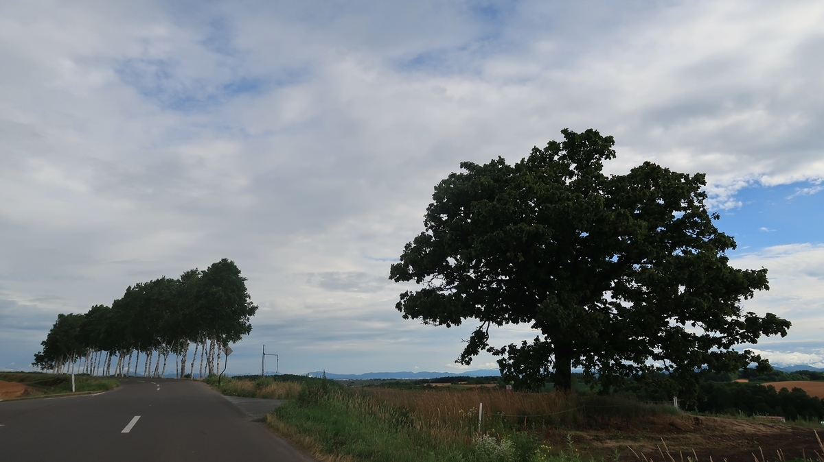 f:id:shirokumapanda:20200417002151j:plain