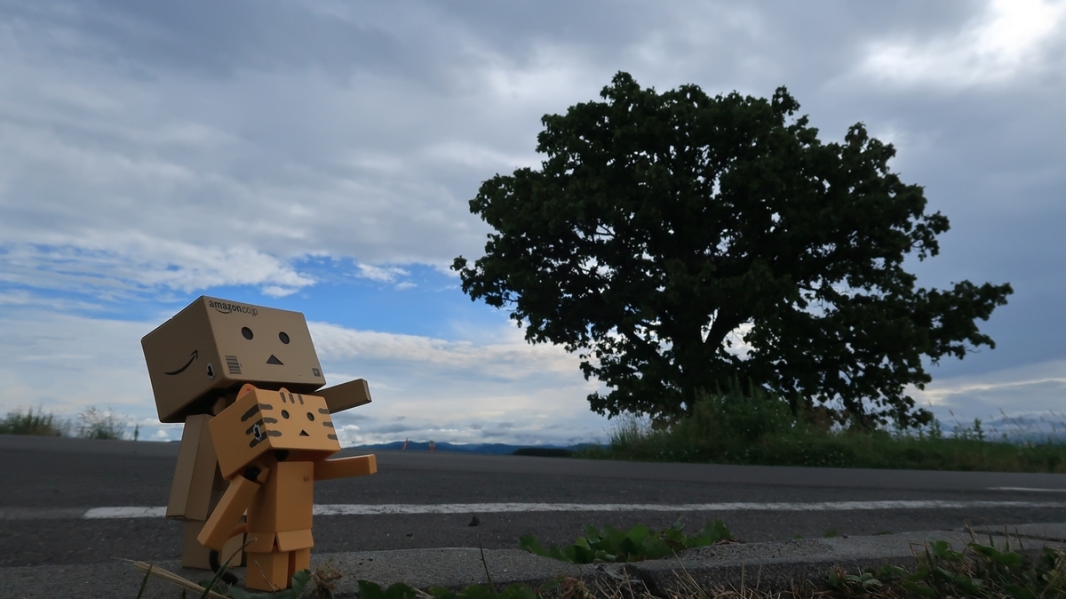 f:id:shirokumapanda:20200417002242j:plain