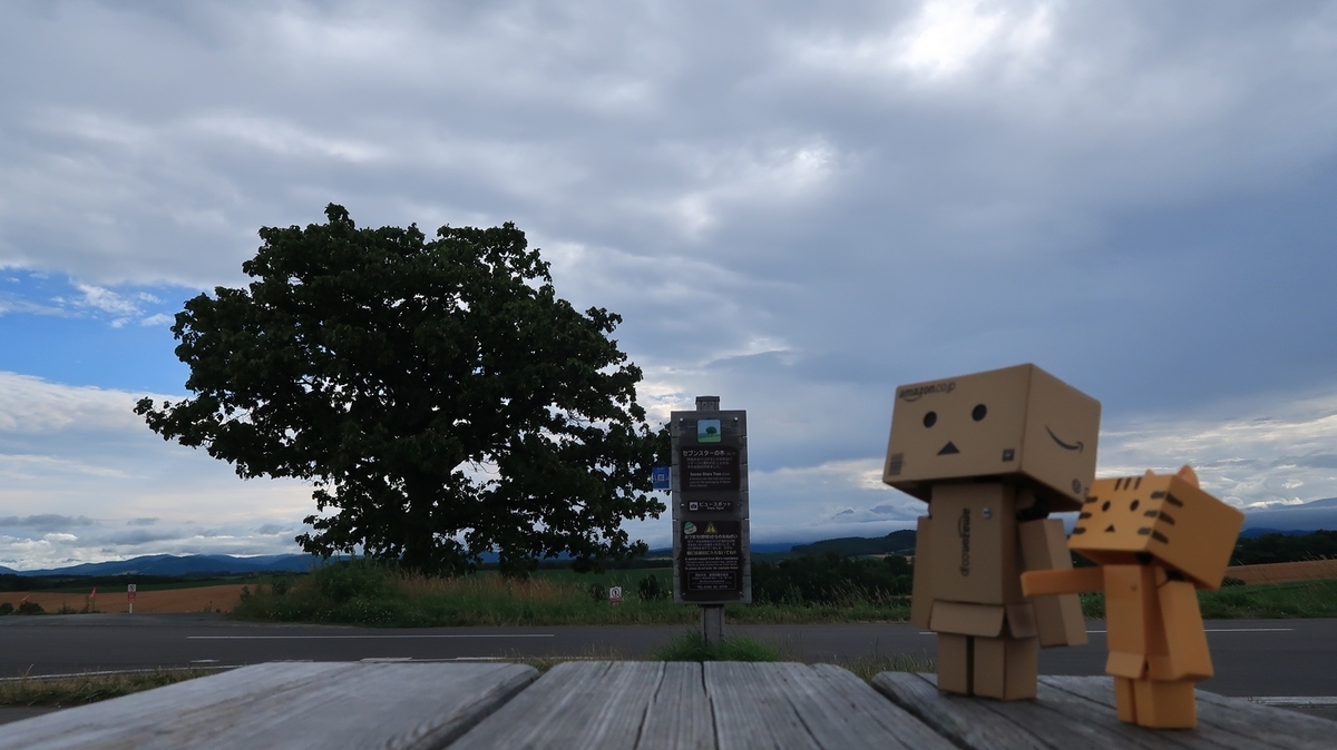 f:id:shirokumapanda:20200417002249j:plain