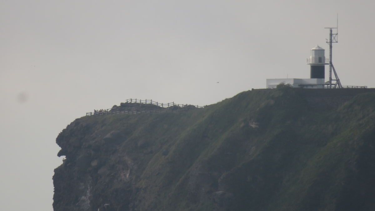 f:id:shirokumapanda:20200422234103j:plain