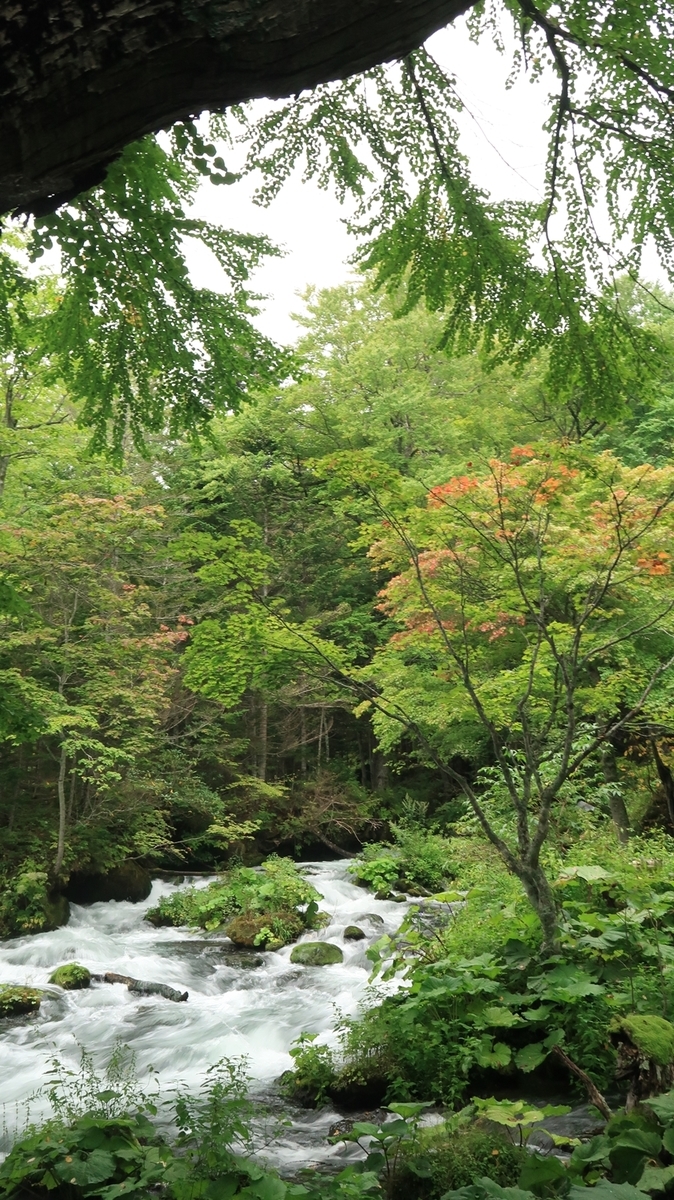 f:id:shirokumapanda:20200426022835j:plain