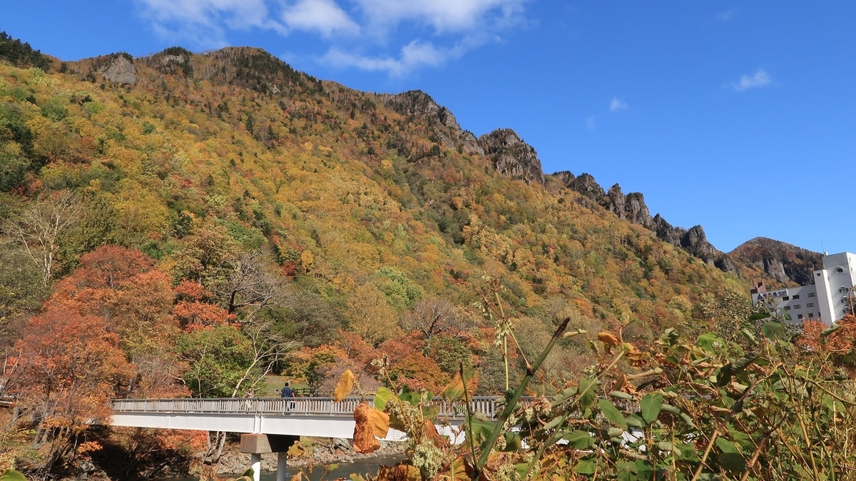 f:id:shirokumapanda:20200510003138j:plain f:id:shirokumapanda:20200510003138j:plain