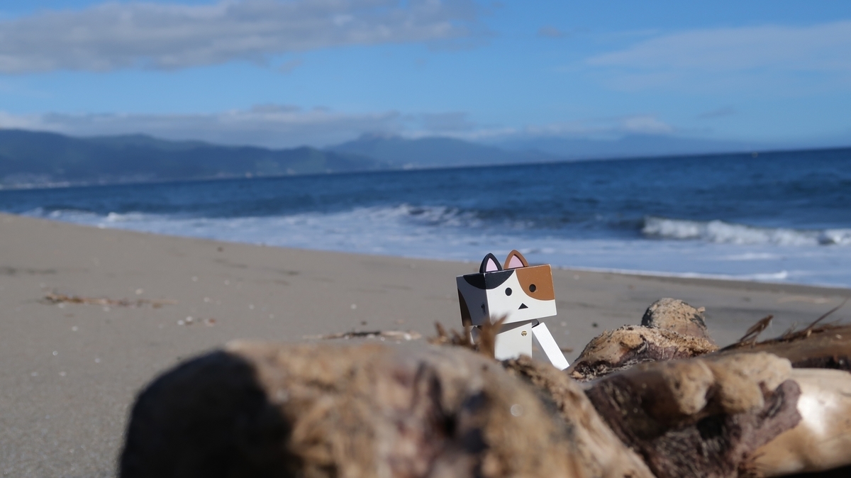 f:id:shirokumapanda:20200515093506j:plain f:id:shirokumapanda:20200515093506j:plain
