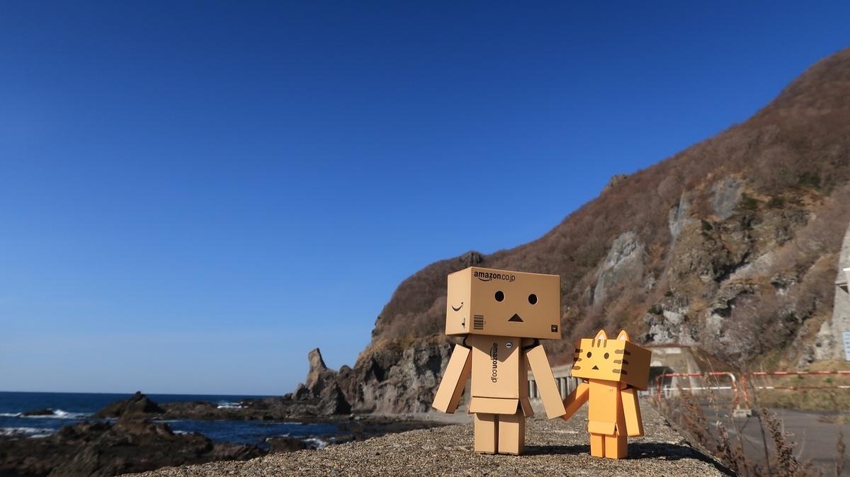 f:id:shirokumapanda:20200525000022j:plain