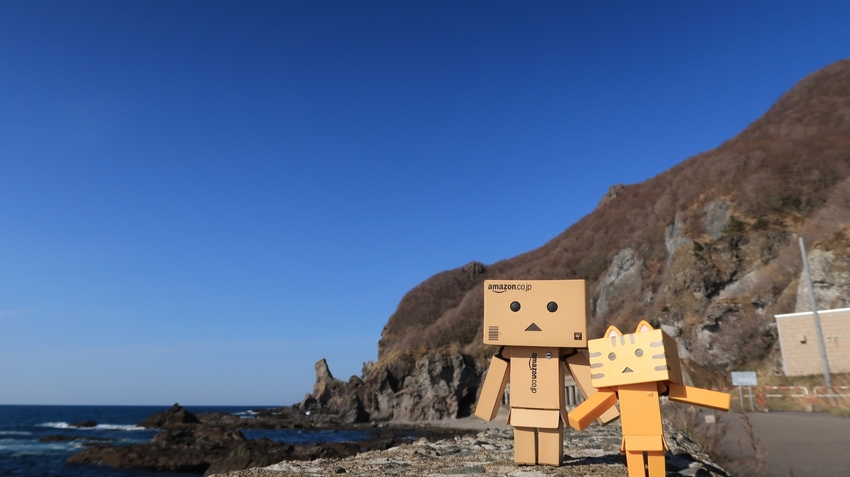 f:id:shirokumapanda:20200525000028j:plain