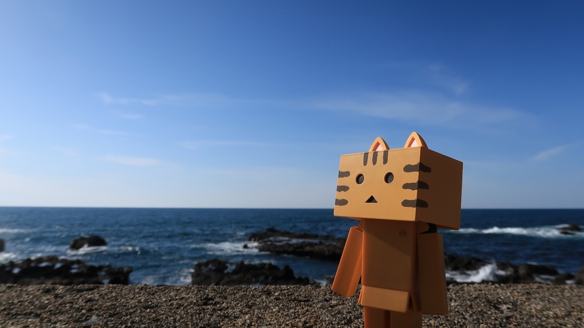 f:id:shirokumapanda:20200525000040j:plain