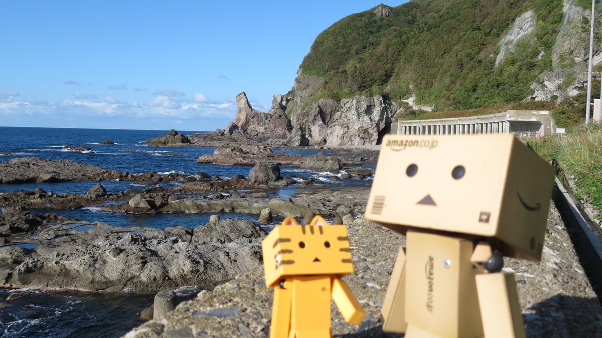 f:id:shirokumapanda:20200525000133j:plain