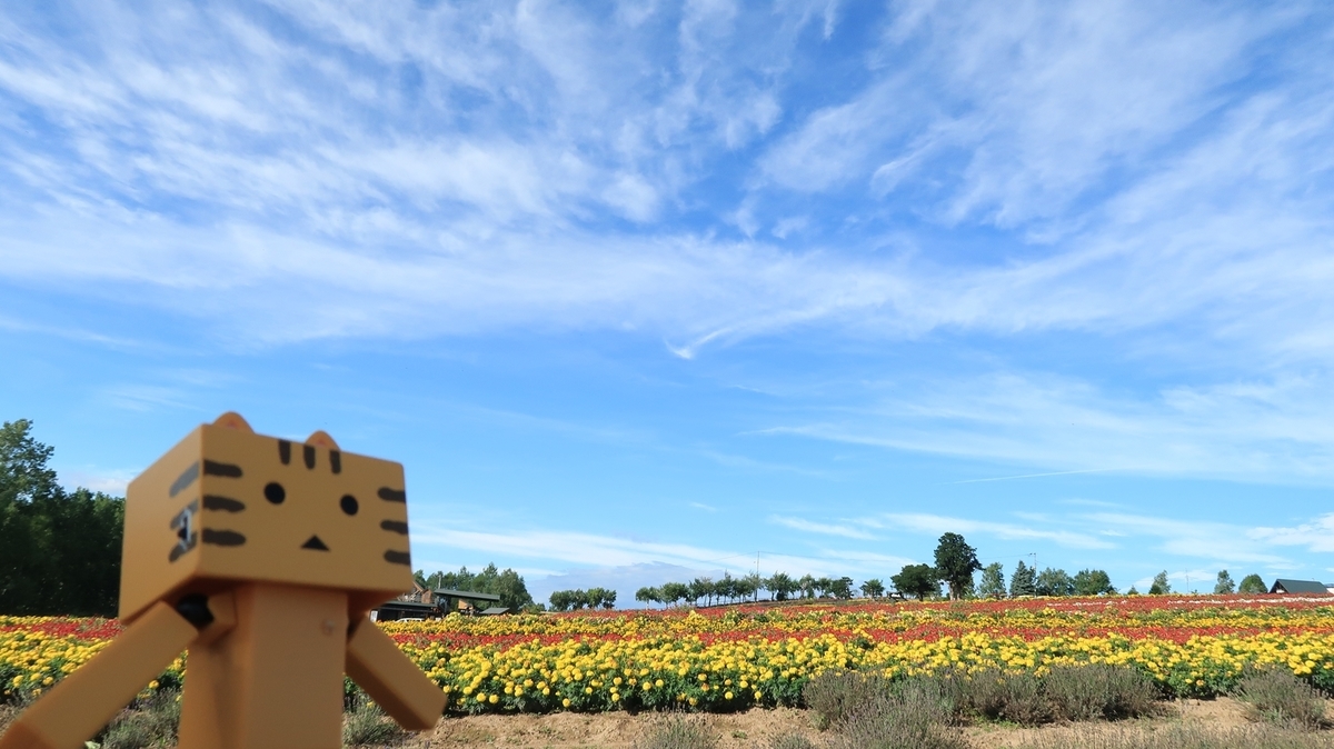 f:id:shirokumapanda:20200529014341j:plain