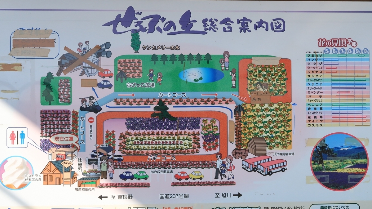 f:id:shirokumapanda:20200529014438j:plain