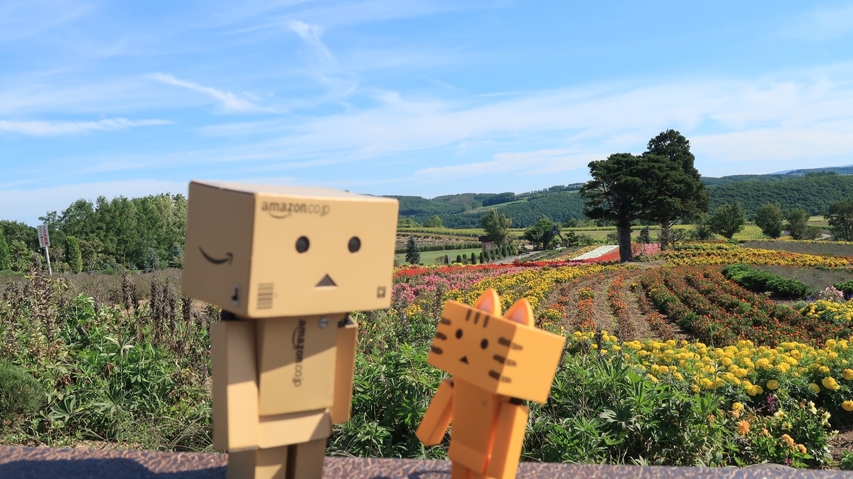 f:id:shirokumapanda:20200529014533j:plain