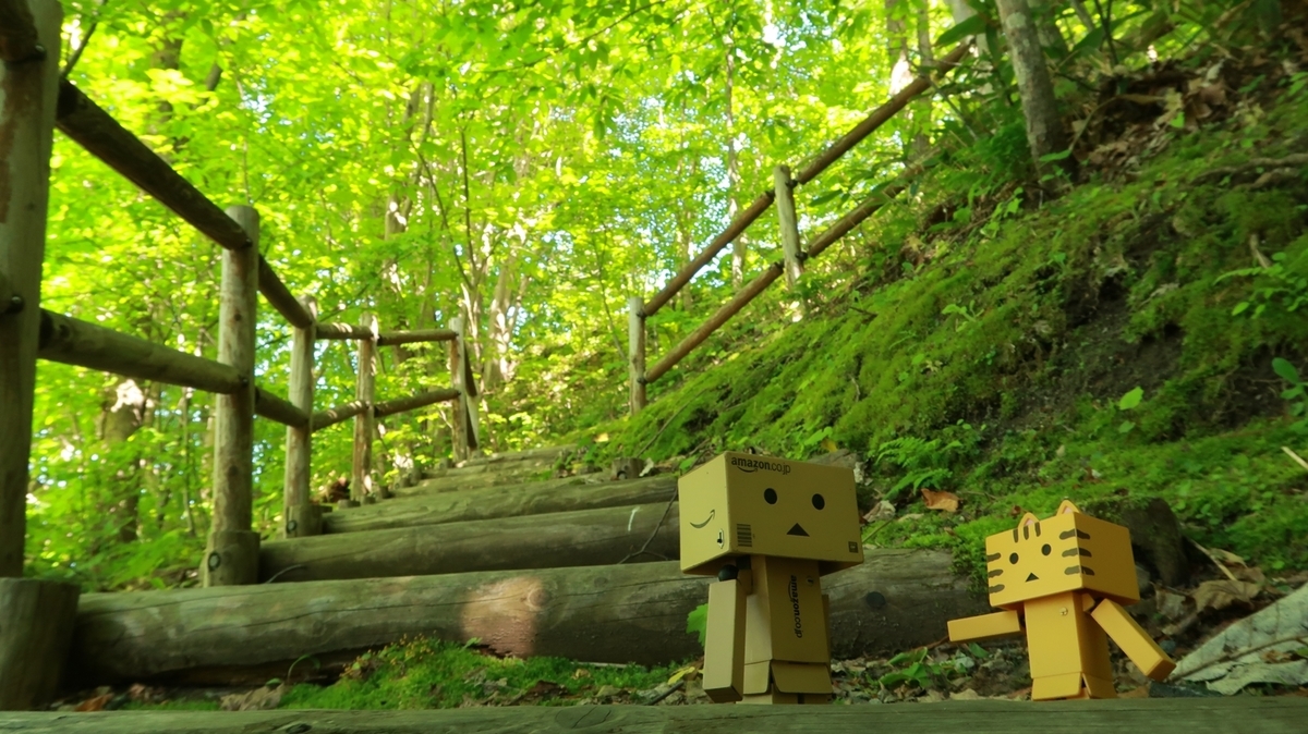 f:id:shirokumapanda:20200531233832j:plain