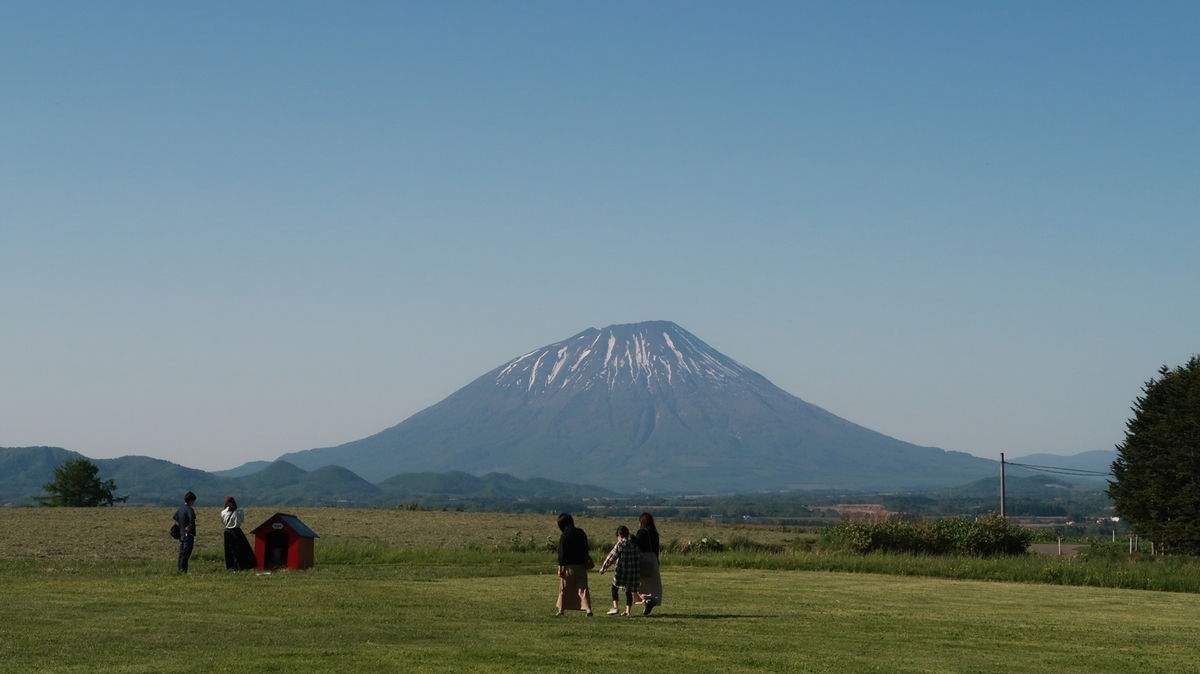 f:id:shirokumapanda:20200531233934j:plain