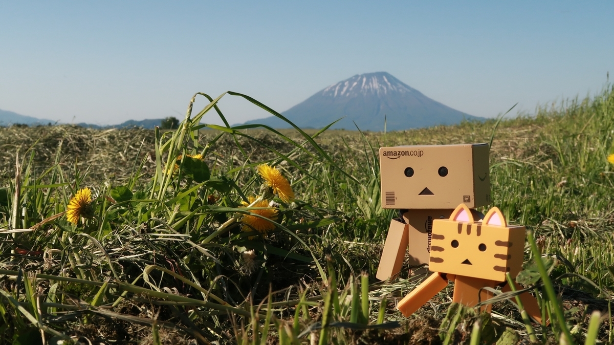 f:id:shirokumapanda:20200531233945j:plain