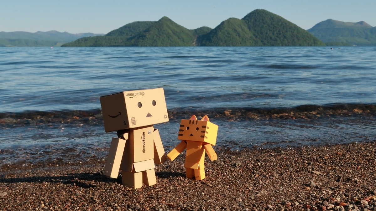 f:id:shirokumapanda:20200531233957j:plain